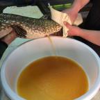 img-0814m