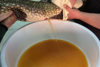 img-0814m