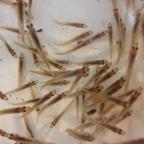 img-1119