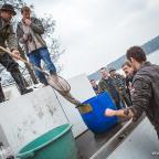 wspolne-zarybienie-szwaderki