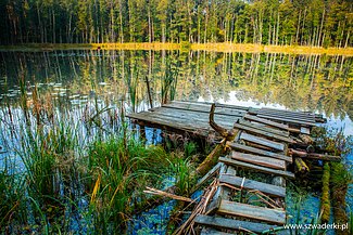 Wędkarstwo w Szwaderkach