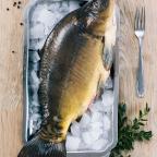karp-patroszony