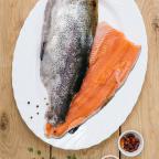 pstrag-lososiowy-filet