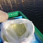 img-0739
