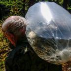 zarybienie-pstragiem-potokowym-szwaderki-05